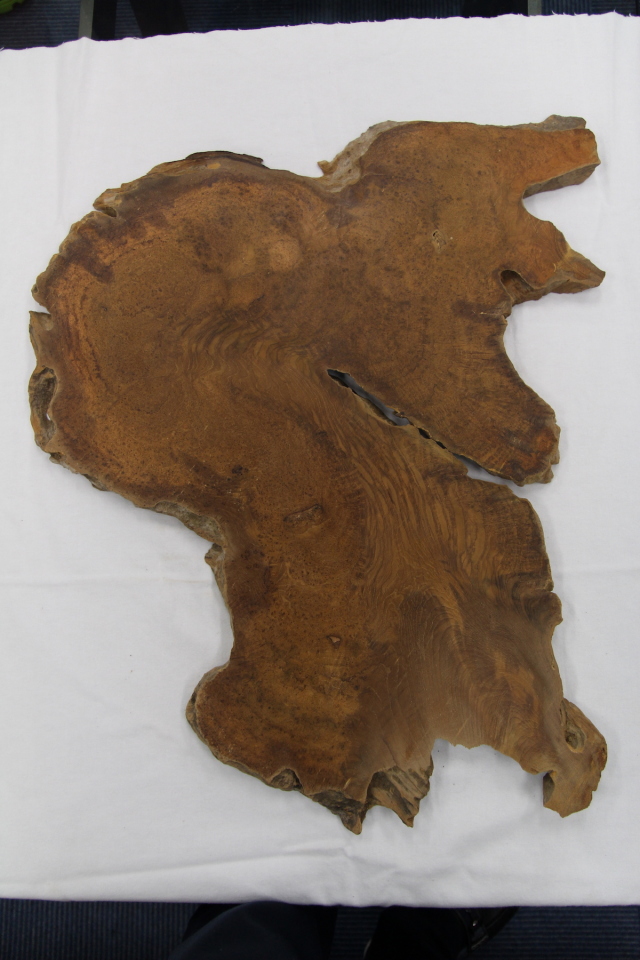 【鳥眼杢】 チーク 極上 550x585x23