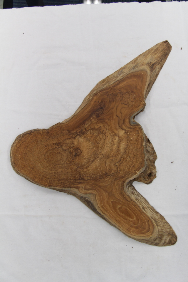 【鳥眼杢】 チーク 極上 305x405x24