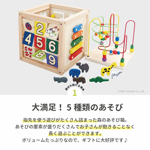 森のあそび箱｜エドインター