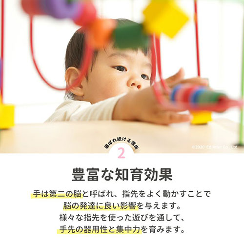 森のあそび箱｜エドインター