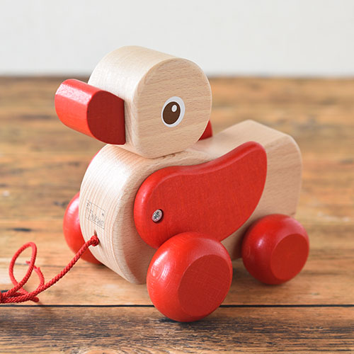 白木のあひる｜NIC