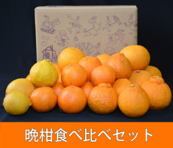 食べ比べセット