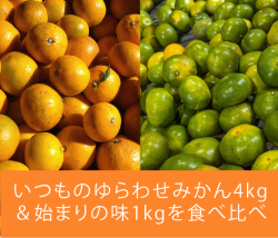 みかん,新旧,食べ比べ