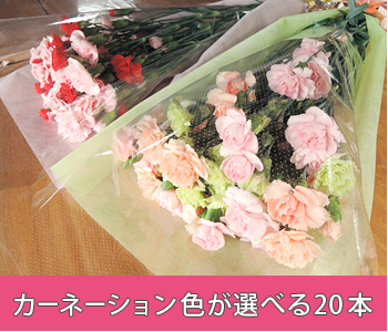 【4月お届けのみ】カーネーションお好きな2色で作る20本セット カーネーション 色が選べる 20本
