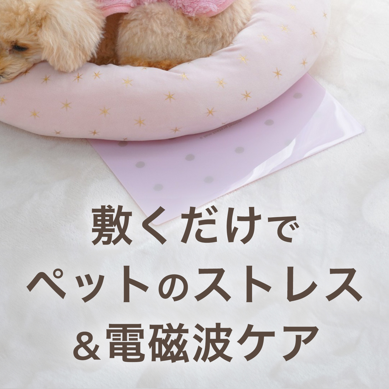 ペット用,電磁波マット,電磁波対策,電磁波,通販