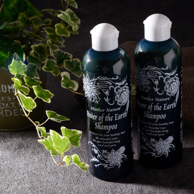 特価 大地の力シャンプー 300ml✖️2本セット エドガー・ケイシー療法 楽天市場】【2本セット】大地の力シャンプー 300ml（テンプル