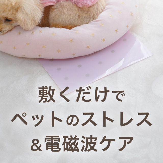 大切なペットの電磁波対策＆ストレスケアのサポートに アニマル