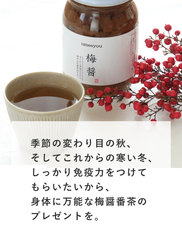 敬老の日ギフト　梅醤番茶