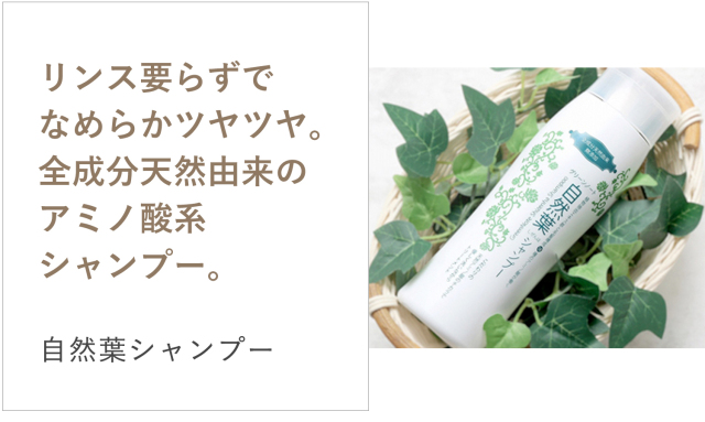 自然葉シャンプー