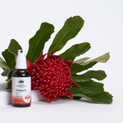 【専用】エマージェンシー『緊急』 オーストラリアンブッシュ フラワーエッセンス他 エマージェンシー[Emergency]『緊急』 | ブランド一覧,オーストラリア