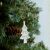 クリスマスス,ツリー.クリスマスツリー,クリスマスグッズ,インテリアグッズ,クリスマスアイテム,装飾,通販,おしゃれ,お洒落,通販
