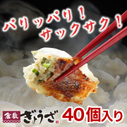 倉敷ぎょうざ40個入 特製たれ付き