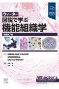 ウィーター　図説で学ぶ機能組織学　原著第7版