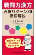 戦闘力漢方必勝パターン20 徹底解説
