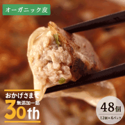 オーガニック皮餃子