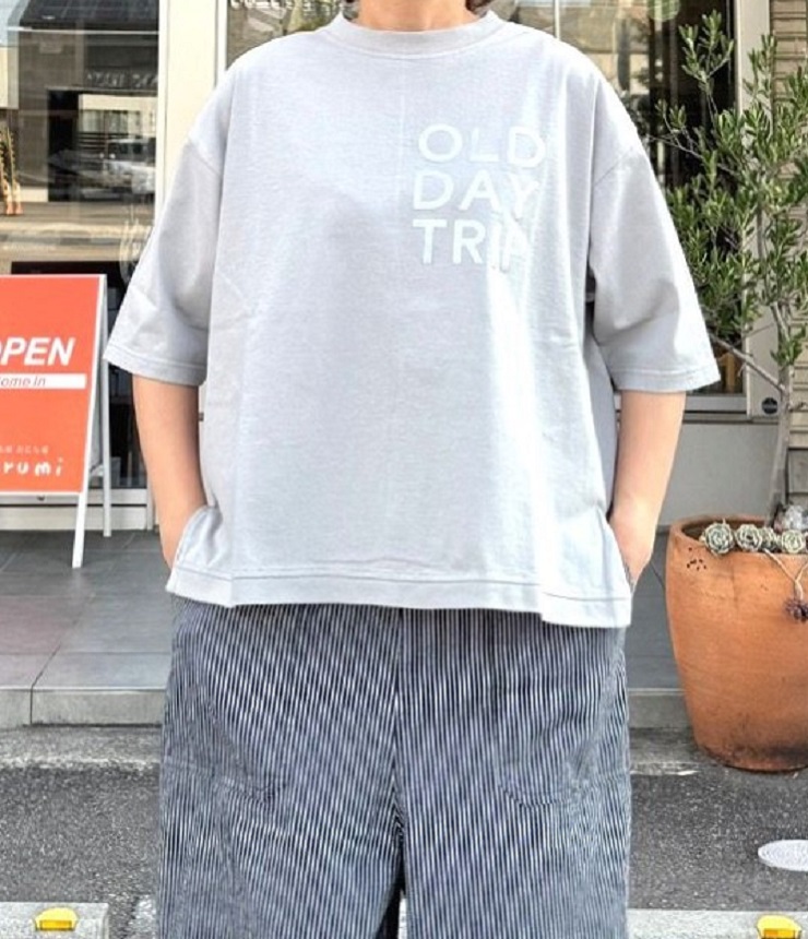 【40%OFF】PACIFIC PARK STORE  17/1BD天竺 サイドスリット プリント Tee（グレー） PPS-28252  #PACIFIC PARK STORE_7th GATE