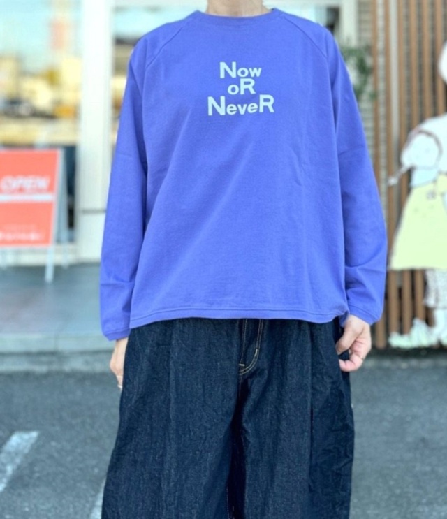 【40%OFF】PACIFIC PARK STORE  17/1BD天竺 ドルマンスリーブ プリント プルオーバー（パープル） #PACIFIC PARK STORE_7th GATE