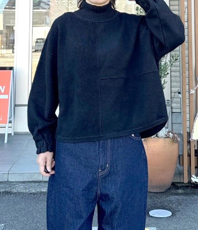 ESTROISLOSE　コットンカシミヤ プルオーバー（ブラック） EK25402