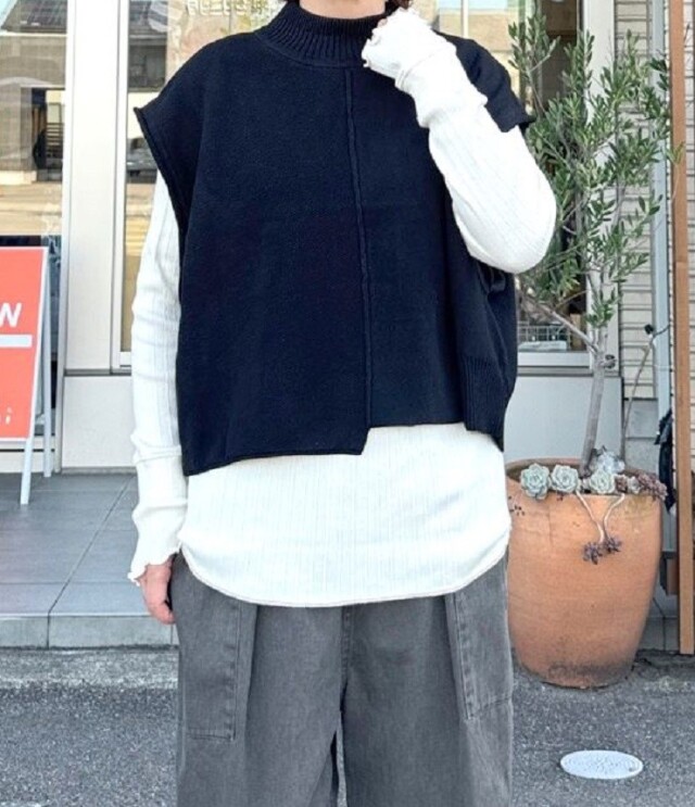 ESTROISLOSE　コットンカシミヤ ベスト（ブラック） EK24305