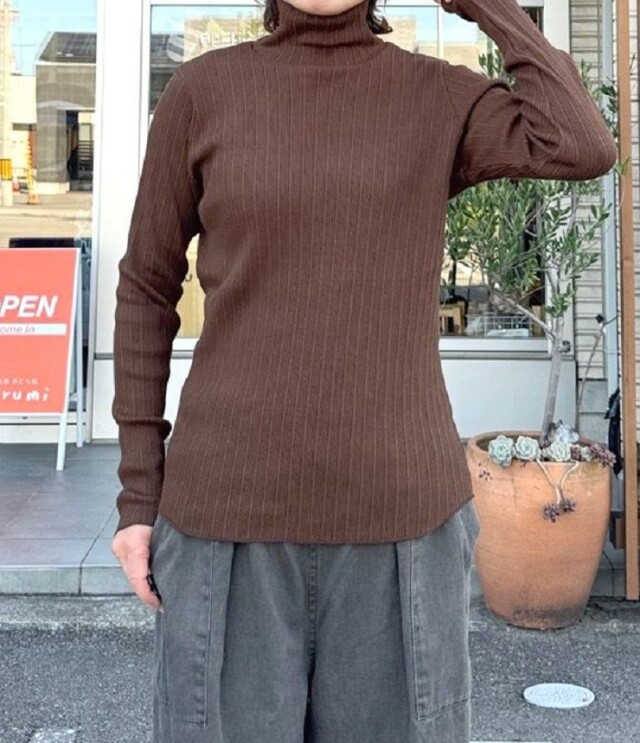 ESTROISLOSE　クリアテレコ タートル（ブラウン） EC24315