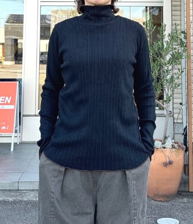 ESTROISLOSE　クリアテレコ タートル（ブラック） EC24315