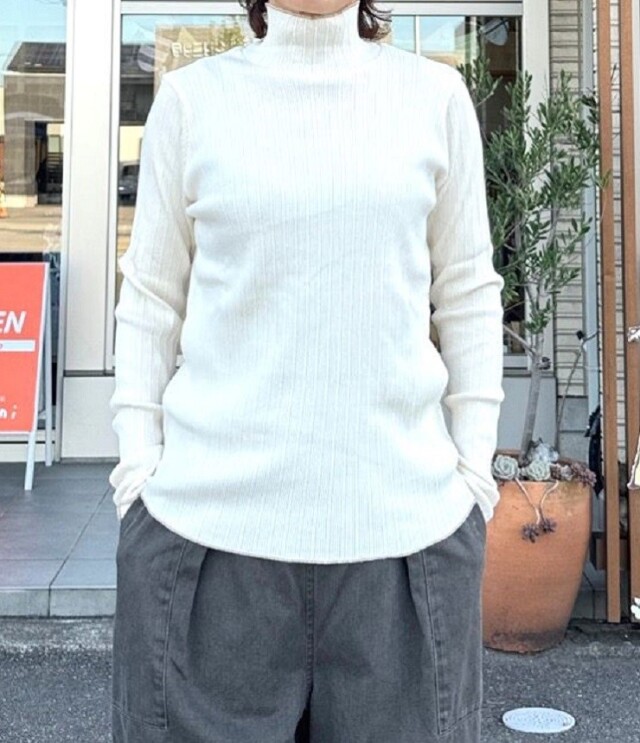 ESTROISLOSE　クリアテレコ タートル（キナリ） EC24315