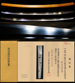 奇跡の在銘品鎌倉時代舞草鍛冶『宝寿』特別保存刀剣鑑定