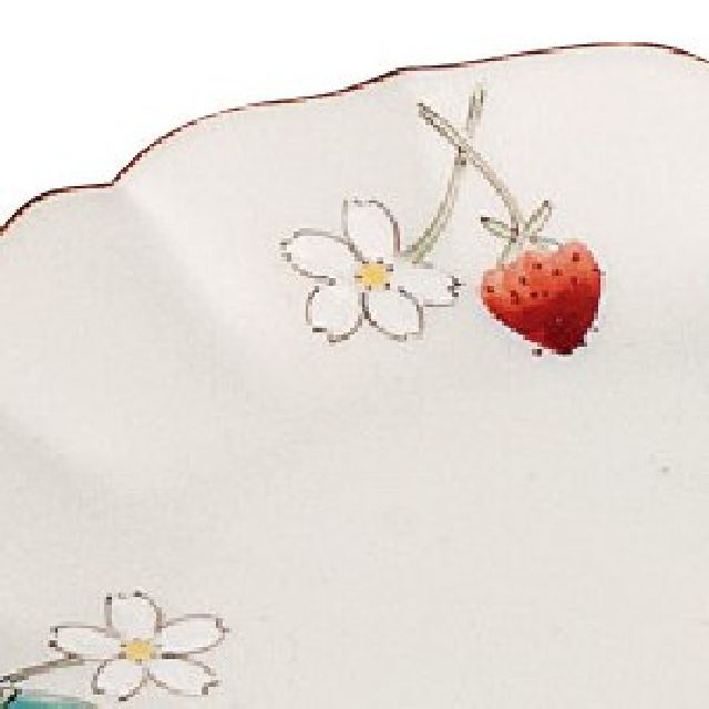 九谷焼ギフト ご贈答品 御祝い 九谷焼4.2号皿揃 いちご 平野由佳