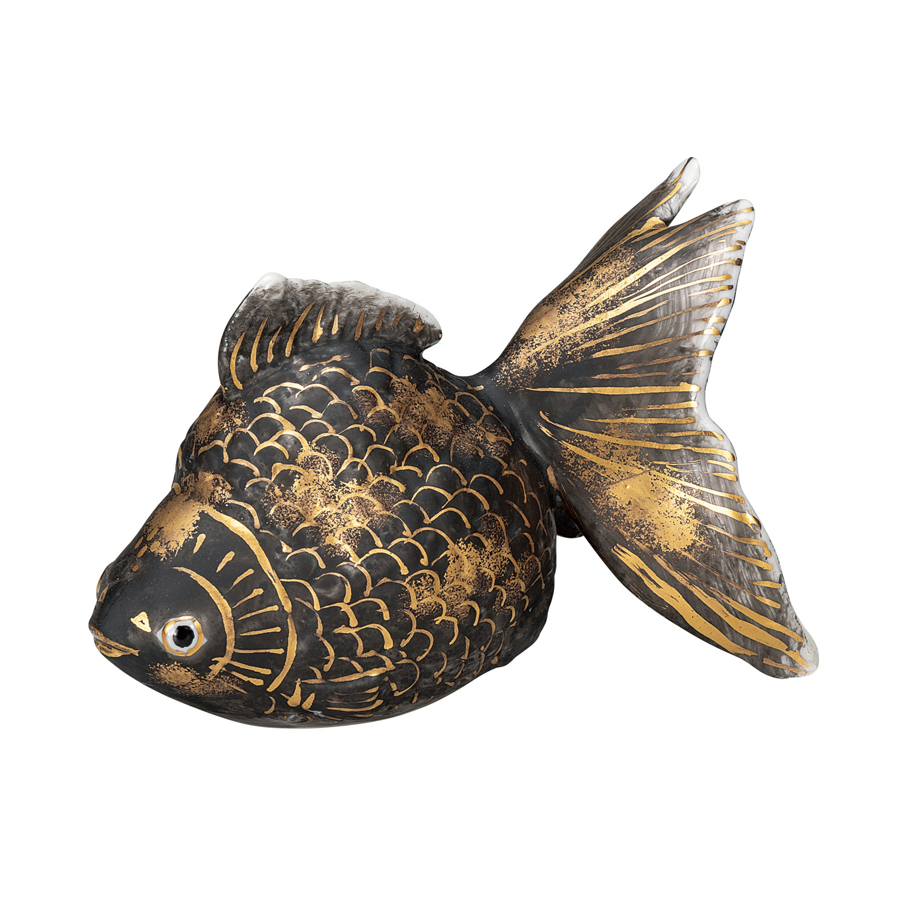 5号金魚・黒彩