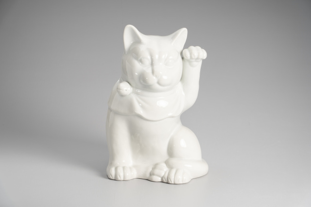 10号太型猫