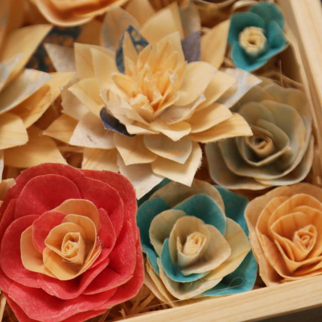 テレビ高知 e！マルシェ】木が香る自然素材のインテリア かなば