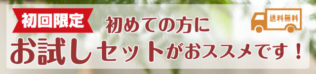お試しバナースマホバナー