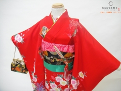 七五三着物レンタル　七五三　七歳着物　お参り　前撮り　貸衣装