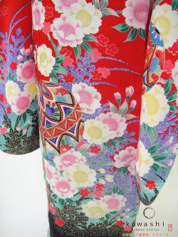 七五三着物レンタル　七五三　七歳着物　お参り　前撮り　貸衣装