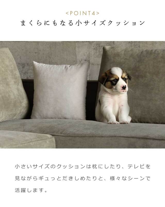 2Pソファ ?(クッション大x1、クッション小x1 付属)