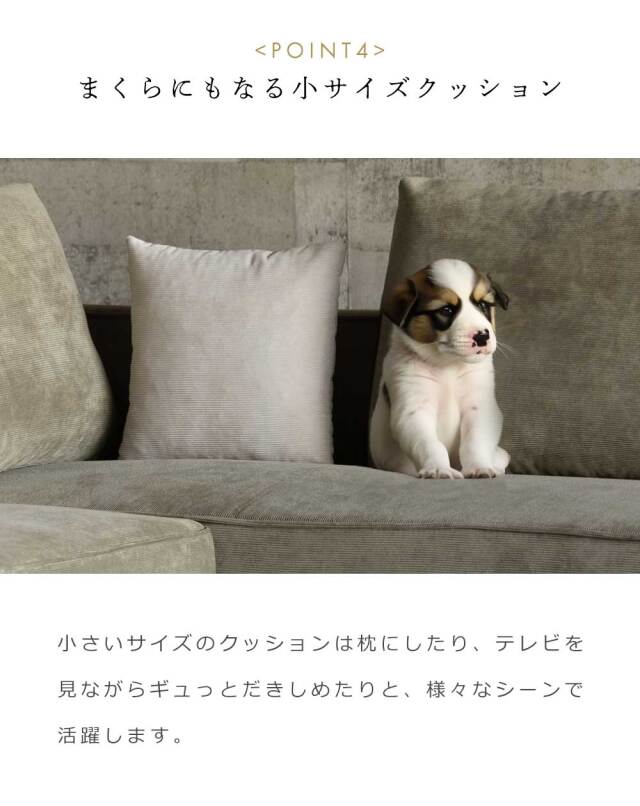 カウチソファ ?(クッション大x2、クッション小x1 付属)