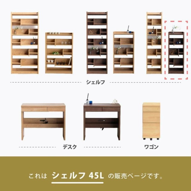 収納棚　45シェルフ　Low　（ロータイプ）