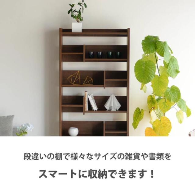 収納棚　45シェルフ　Low　（ロータイプ）