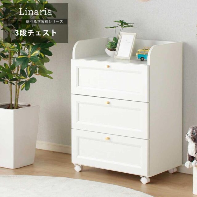 シェルフ　チェスト