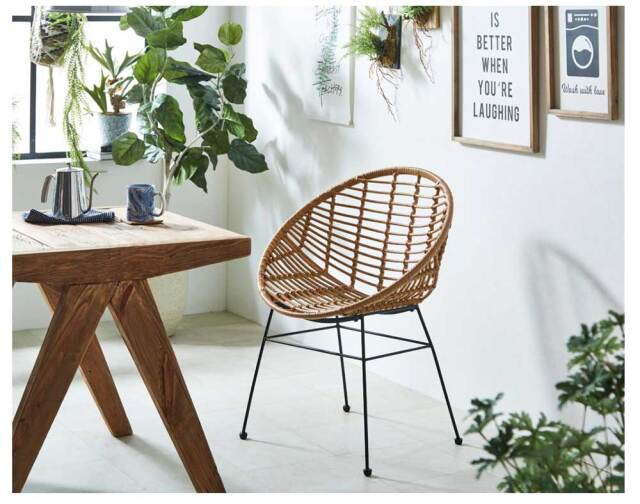 ダイニングチェア　（選べる：2脚 / 4脚セット）