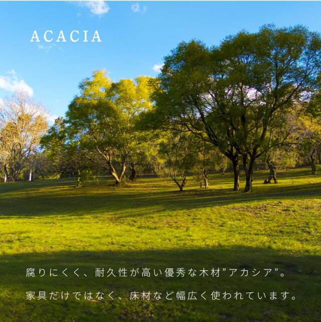 ダイニング5点セット　(180テーブル+150ベンチ+回転肘付チェア3脚)