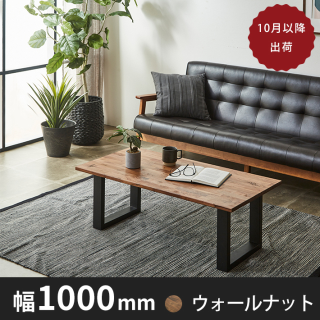 iron Ctable100 wn