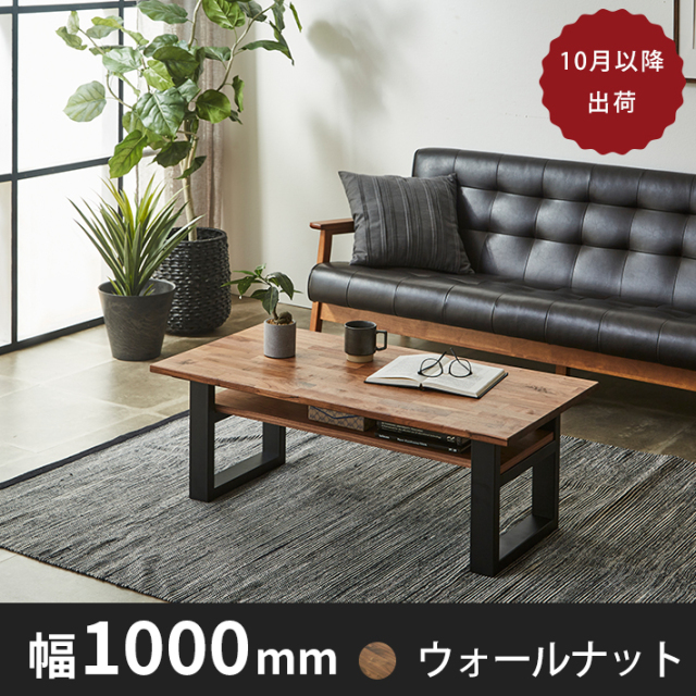 iron Ctable100(棚付き) wn
