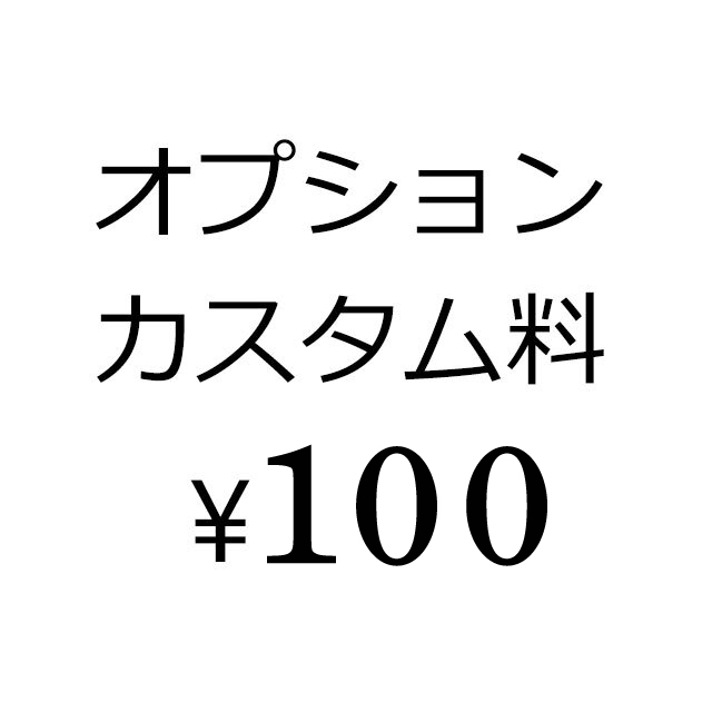 オプションカスタム料100円