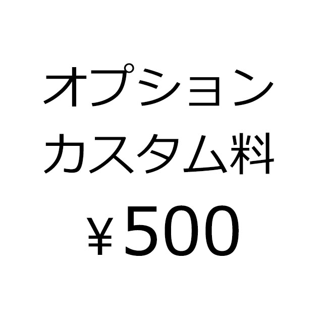 追加カスタム、オプション料金　￥500