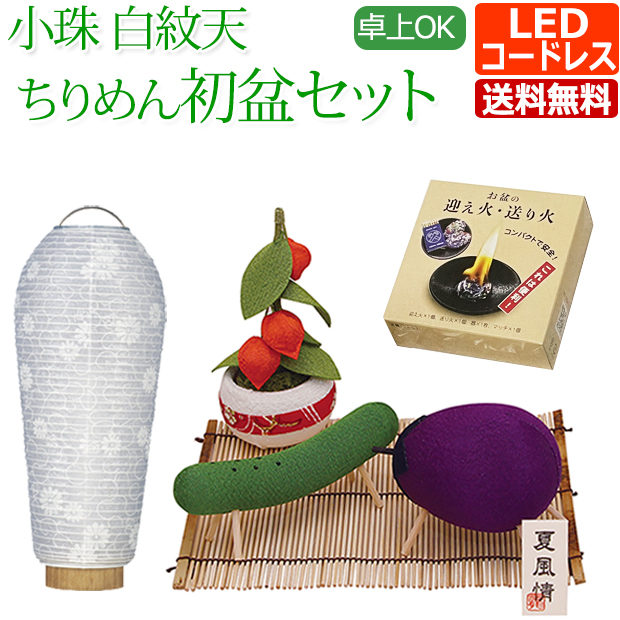 初盆 新盆 提灯 セット