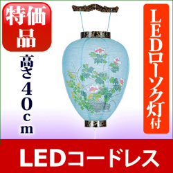 盆ちょうちん