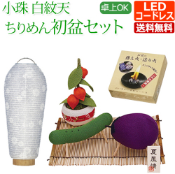 初盆 新盆 提灯 セット