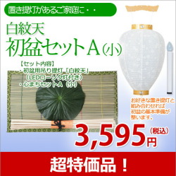 盆提灯