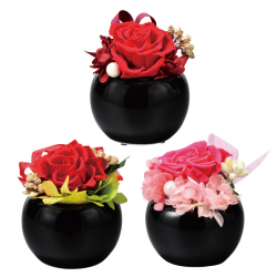 【人気商品！！】『プレミアムシリーズ　陶器付 ブラック3色』